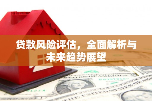 南竿贷款风险评估，全面解析与未来趋势展望