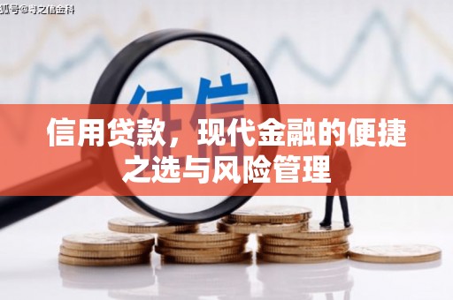 南竿信用贷款，现代金融的便捷之选与风险管理