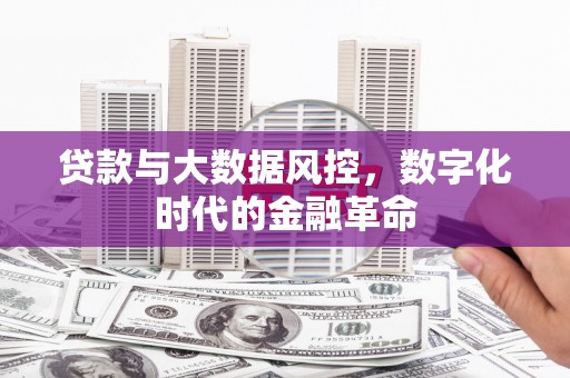 南竿贷款与大数据风控，数字化时代的金融革命