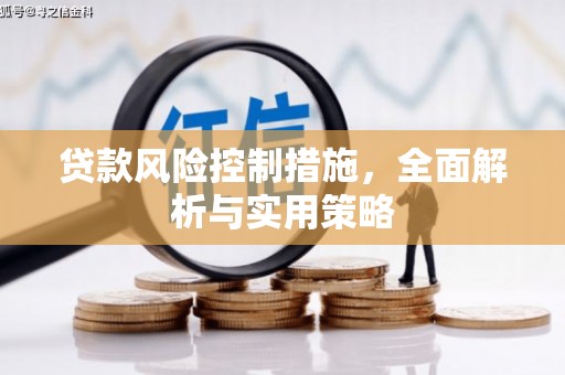 南竿贷款风险控制措施，全面解析与实用策略