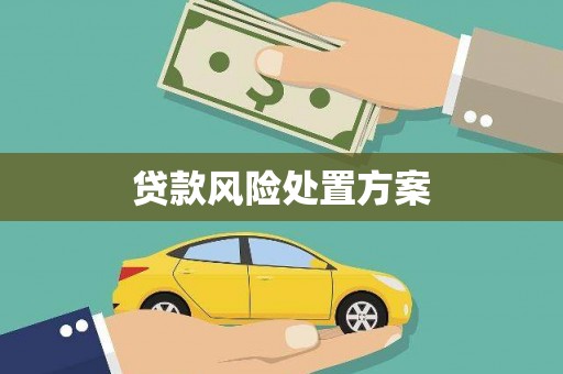 南竿贷款风险处置方案