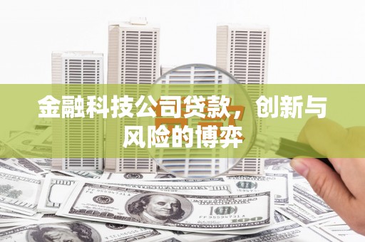 南竿金融科技公司贷款，创新与风险的博弈