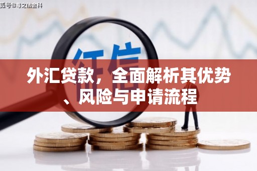南竿外汇贷款，全面解析其优势、风险与申请流程