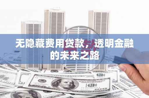 南竿无隐藏费用贷款，透明金融的未来之路