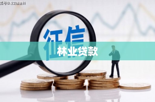 南竿林业贷款