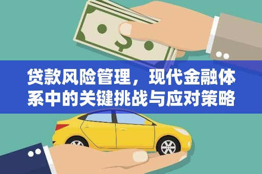 南竿贷款风险管理，现代金融体系中的关键挑战与应对策略