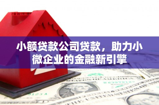 南竿小额贷款公司贷款，助力小微企业的金融新引擎
