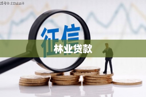 南竿林业贷款