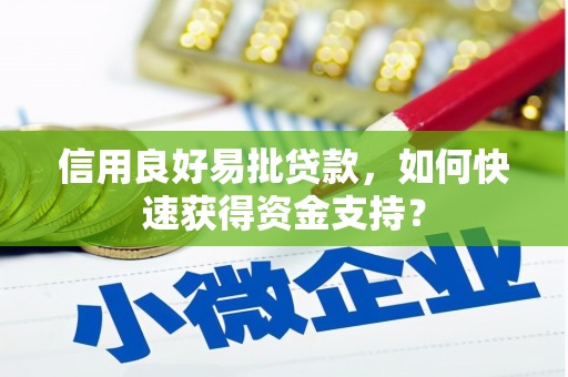 南竿信用良好易批贷款，如何快速获得资金支持？