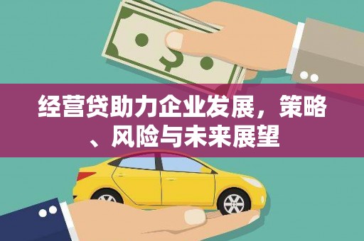 南竿经营贷助力企业发展，策略、风险与未来展望