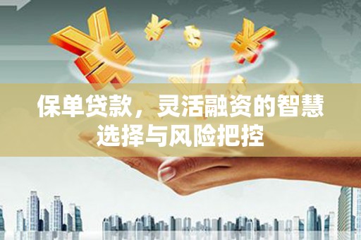 南竿保单贷款，灵活融资的智慧选择与风险把控
