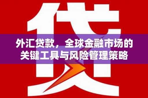 南竿外汇贷款，全球金融市场的关键工具与风险管理策略
