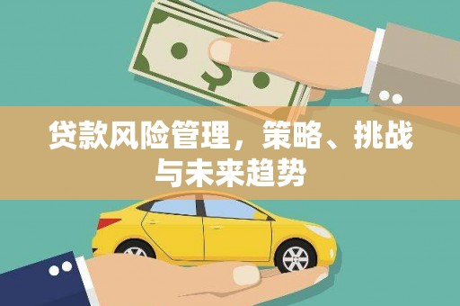 南竿贷款风险管理，策略、挑战与未来趋势