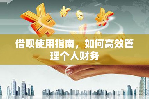 南竿借呗使用指南，如何高效管理个人财务