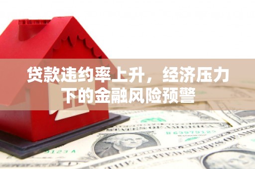 南竿贷款违约率上升，经济压力下的金融风险预警