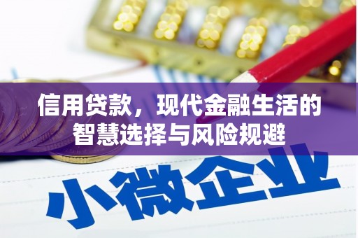 南竿信用贷款，现代金融生活的智慧选择与风险规避