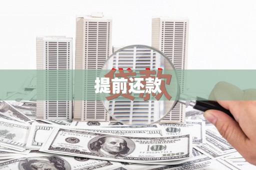 南竿提前还款
