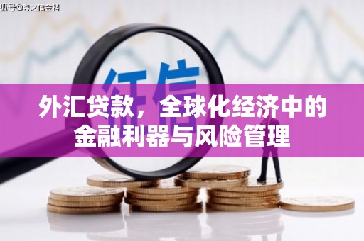 南竿外汇贷款，全球化经济中的金融利器与风险管理