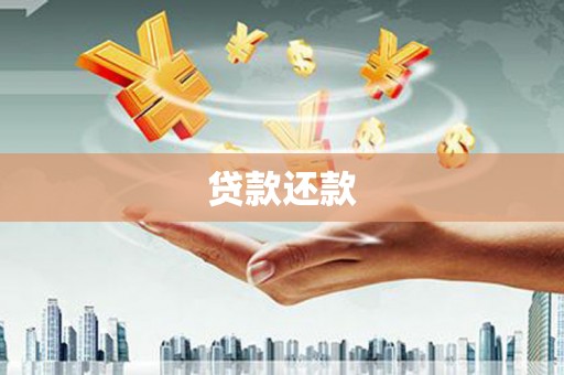 南竿贷款还款