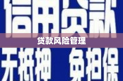 南竿贷款风险管理
