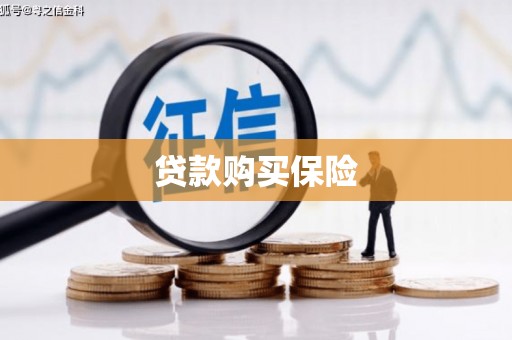 南竿贷款购买保险