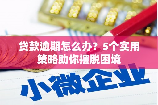 南竿贷款逾期怎么办？5个实用策略助你摆脱困境