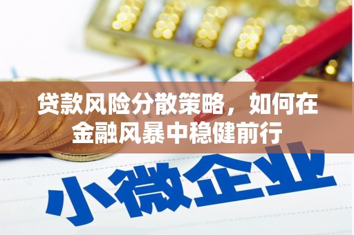 南竿贷款风险分散策略，如何在金融风暴中稳健前行