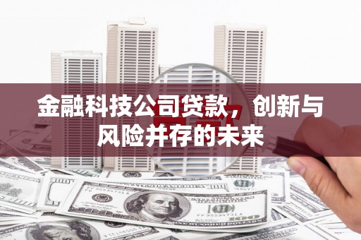 南竿金融科技公司贷款，创新与风险并存的未来