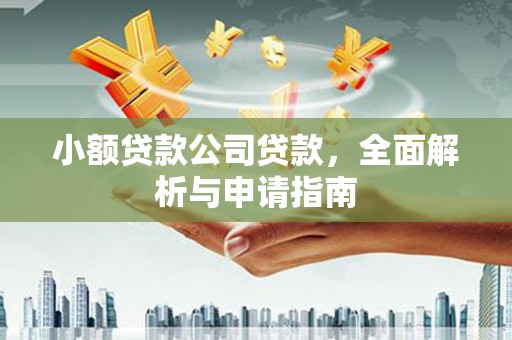 南竿小额贷款公司贷款，全面解析与申请指南
