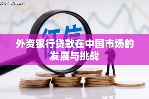 南竿外资银行贷款在中国市场的发展与挑战