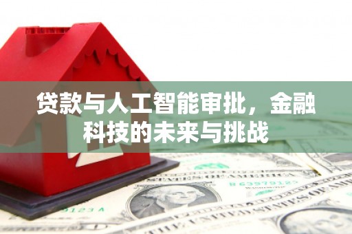 南竿贷款与人工智能审批，金融科技的未来与挑战