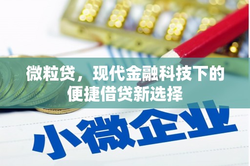南竿微粒贷，现代金融科技下的便捷借贷新选择