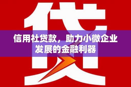 南竿信用社贷款，助力小微企业发展的金融利器