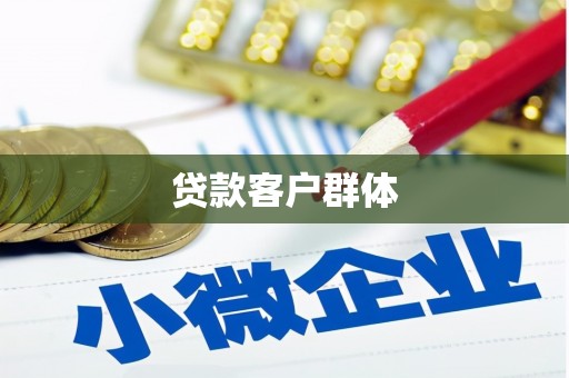 南竿贷款客户群体