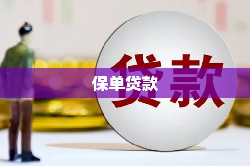南竿保单贷款