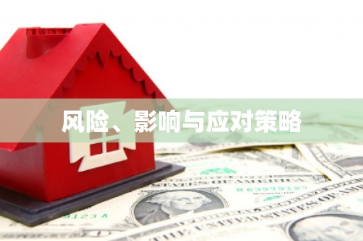 南竿风险、影响与应对策略