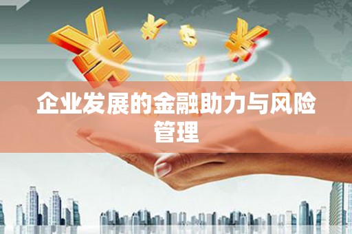 南竿企业发展的金融助力与风险管理