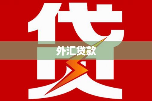 南竿外汇贷款