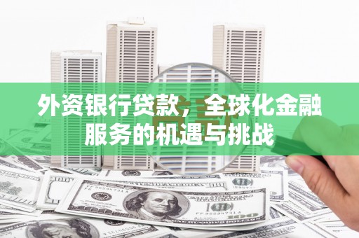 南竿外资银行贷款，全球化金融服务的机遇与挑战