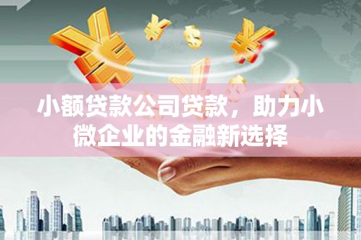 南竿小额贷款公司贷款，助力小微企业的金融新选择