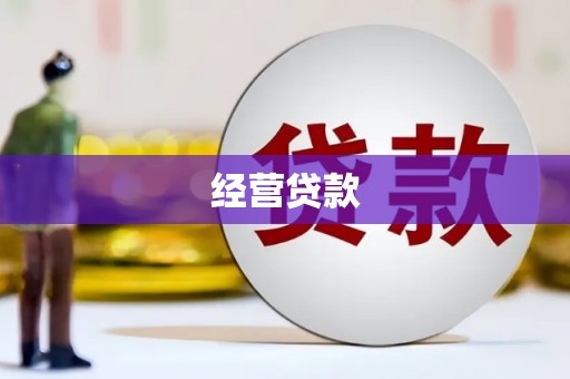 南竿经营贷款