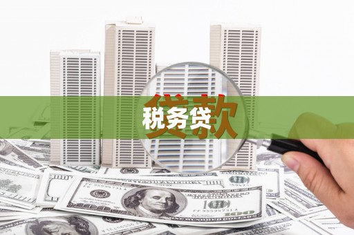 南竿税务贷