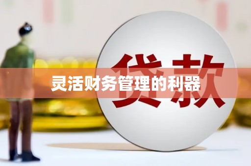 南竿灵活财务管理的利器
