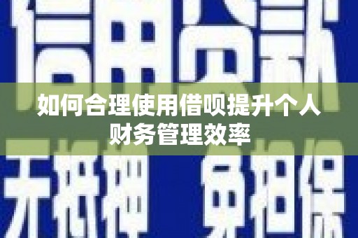 南竿如何合理使用借呗提升个人财务管理效率