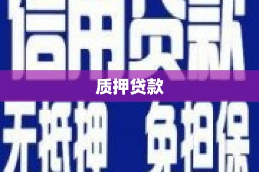 南竿质押贷款