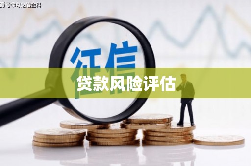 南竿贷款风险评估