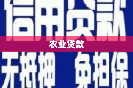 南竿农业贷款