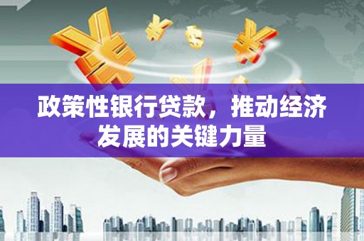南竿政策性银行贷款，推动经济发展的关键力量