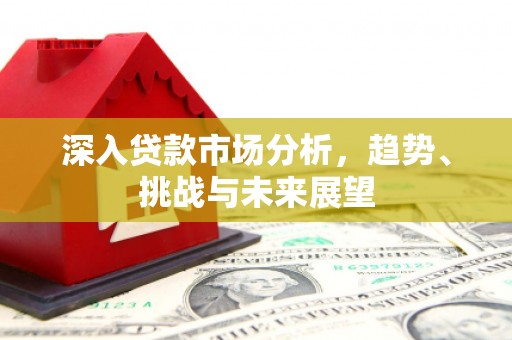 南竿深入贷款市场分析，趋势、挑战与未来展望