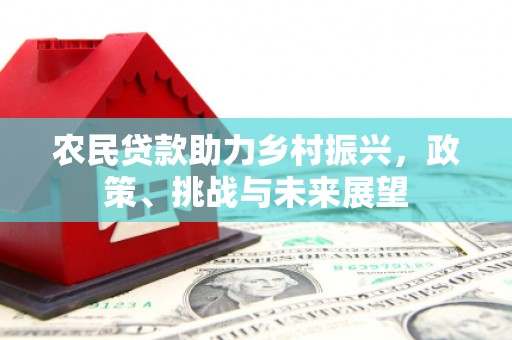 南竿农民贷款助力乡村振兴，政策、挑战与未来展望